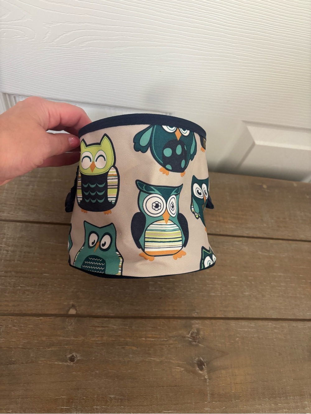 Owl Print Fabric Storage Bin - Teal & Cream